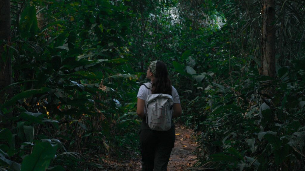 Amazonas selva